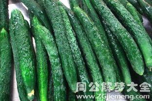 梦见吃地里的瓜,瓜田里的美味诱惑 第3张 梦见吃地里的瓜,瓜田里的美味诱惑 第3张