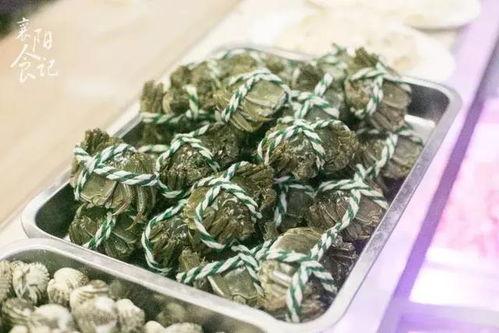 襄阳贾雯吃瓜,揭秘吃瓜群众的趣味生活 第1张 襄阳贾雯吃瓜,揭秘吃瓜群众的趣味生活 第1张