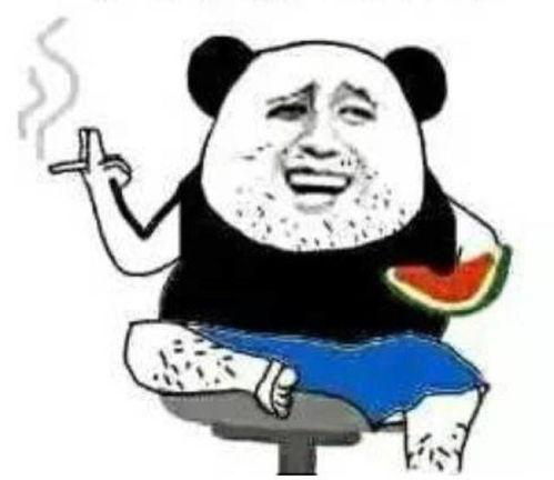 天姐爸爸吃瓜,天姐爸爸的瓜田奇遇记 第3张 天姐爸爸吃瓜,天姐爸爸的瓜田奇遇记 第3张