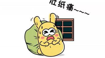 吃瓜群众过年  第1张