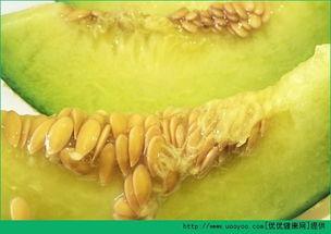 吃哈密瓜测怀孕,甜蜜果实中的神奇预示 第3张 吃哈密瓜测怀孕,甜蜜果实中的神奇预示 第3张