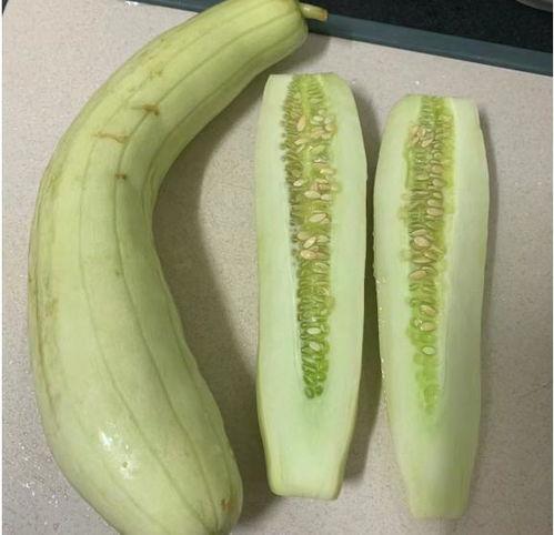 腌白瓜怎么吃,解锁家常美味新境界 第2张 腌白瓜怎么吃,解锁家常美味新境界 第2张