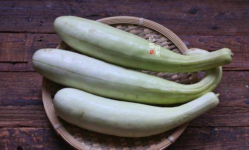腌白瓜怎么吃,解锁家常美味新境界 第3张 腌白瓜怎么吃,解锁家常美味新境界 第3张