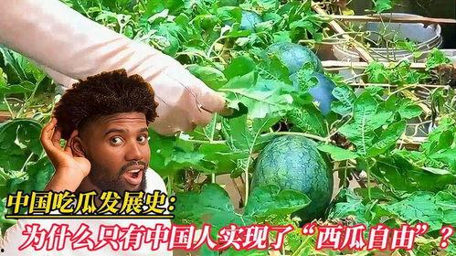 中国实现吃瓜自由,中国迈向“吃瓜自由”新时代 第3张 中国实现吃瓜自由,中国迈向“吃瓜自由”新时代 第3张