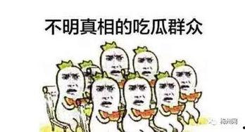 保险公司吃瓜,理赔背后的利益博弈 第1张 保险公司吃瓜,理赔背后的利益博弈 第1张