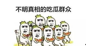 吃瓜群众时尚,揭秘网红穿搭秘诀 第2张 吃瓜群众时尚,揭秘网红穿搭秘诀 第2张