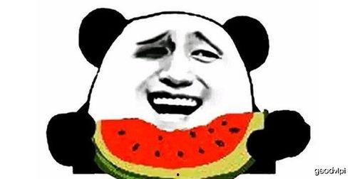 心碎小子吃瓜,揭秘娱乐圈背后的秘密与真相 第3张 心碎小子吃瓜,揭秘娱乐圈背后的秘密与真相 第3张
