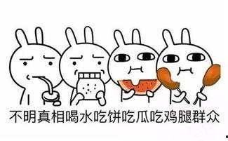 吃瓜群众吃的是啥东西,吃瓜群众究竟在品尝何种神秘瓜果? 第3张 吃瓜群众吃的是啥东西,吃瓜群众究竟在品尝何种神秘瓜果? 第3张