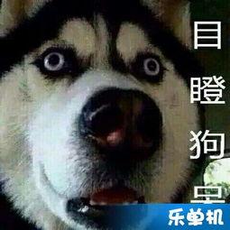qiqi吃瓜,网络红人的瓜田奇遇记 第2张 qiqi吃瓜,网络红人的瓜田奇遇记 第2张