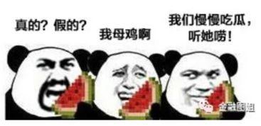 带你吃瓜秀儿音效,秀儿音效带你领略欢乐盛宴 第3张 带你吃瓜秀儿音效,秀儿音效带你领略欢乐盛宴 第3张