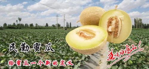 喝酒后吃瓜蜜瓜  第2张