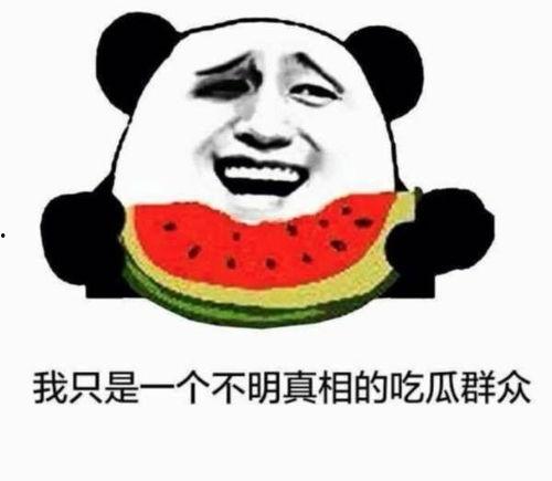 一个卖瓜的吃瓜群众,揭秘瓜农背后的酸甜苦辣 第2张 一个卖瓜的吃瓜群众,揭秘瓜农背后的酸甜苦辣 第2张