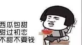 一个卖瓜的吃瓜群众,揭秘瓜农背后的酸甜苦辣 第3张 一个卖瓜的吃瓜群众,揭秘瓜农背后的酸甜苦辣 第3张