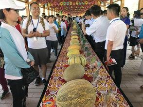吃瓜观众小鹿 第3张 吃瓜观众小鹿 第3张