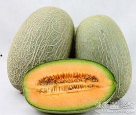 吃哈密瓜可以吃冬瓜吗,夏季消暑美食搭配指南 第2张 吃哈密瓜可以吃冬瓜吗,夏季消暑美食搭配指南 第2张
