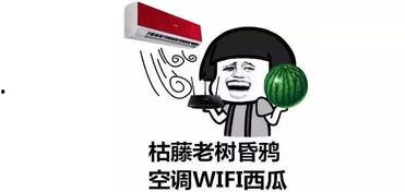 吃瓜自己变成了瓜,一场奇妙的身份转变之旅 第1张 吃瓜自己变成了瓜,一场奇妙的身份转变之旅 第1张