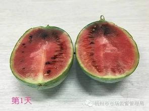 吃瓜自己变成了瓜,一场奇妙的身份转变之旅 第3张 吃瓜自己变成了瓜,一场奇妙的身份转变之旅 第3张