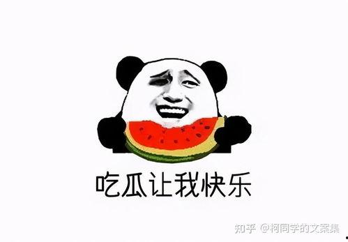 被吃瓜的文案 第1张 被吃瓜的文案 第1张