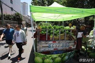 都市吃瓜系统 第3张 都市吃瓜系统 第3张