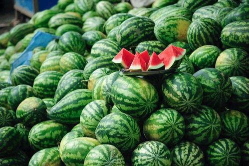 乌布人吃瓜视频 第3张 乌布人吃瓜视频 第3张