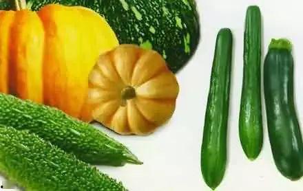 梦见吃瓜摘瓜送人好不好 第2张 梦见吃瓜摘瓜送人好不好 第2张