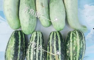 柳州网红吃瓜,揭秘网络红人的幕后故事  第3张