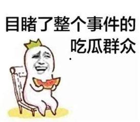带你吃瓜理发前后  第2张