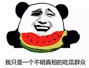 怎么变成吃瓜群主 第3张 怎么变成吃瓜群主 第3张