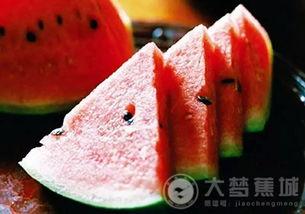吃瓜演示,吃瓜群众视角下的娱乐圈风云录  第3张