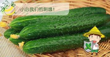 大家吃瓜网,大家吃瓜网带你领略明星幕后故事 第2张 大家吃瓜网,大家吃瓜网带你领略明星幕后故事 第2张