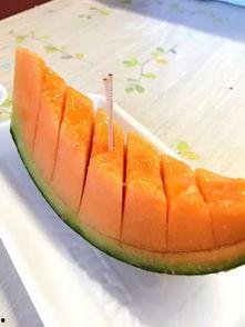 吉祥瓜怎么吃,解锁美味与吉祥的双重享受 第3张 吉祥瓜怎么吃,解锁美味与吉祥的双重享受 第3张