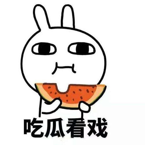 吃瓜吃一半被拉走,揭秘吃瓜背后的故事 第2张 吃瓜吃一半被拉走,揭秘吃瓜背后的故事 第2张