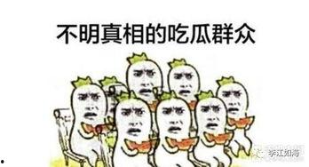 吃瓜专业术语,一网打尽瓜圈黑话  第1张