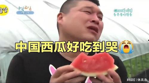 吃瓜吃到流泪,那些让人泪目的吃瓜瞬间 第1张 吃瓜吃到流泪,那些让人泪目的吃瓜瞬间 第1张