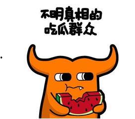 追星赚钱吃瓜小熊,从吃瓜到赚钱的华丽蜕变 第2张 追星赚钱吃瓜小熊,从吃瓜到赚钱的华丽蜕变 第2张