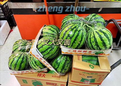 郑州酒店吃瓜,揭秘幕后真相与网络热议 第1张 郑州酒店吃瓜,揭秘幕后真相与网络热议 第1张
