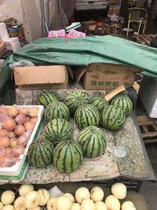 郑州酒店吃瓜,揭秘幕后真相与网络热议 第3张 郑州酒店吃瓜,揭秘幕后真相与网络热议 第3张
