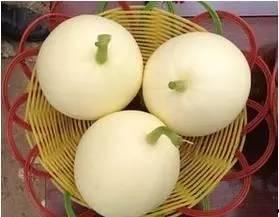 小白瓜甜瓜怎么吃,小白瓜甜瓜的多样食法探索 第3张 小白瓜甜瓜怎么吃,小白瓜甜瓜的多样食法探索 第3张