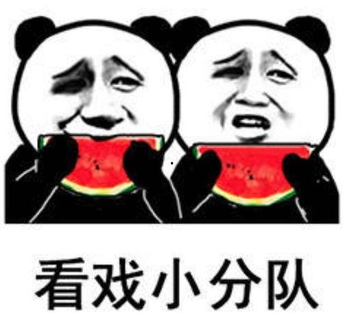 吃瓜吃瓜子表情包,吃瓜吃瓜子表情包大集合 第3张 吃瓜吃瓜子表情包,吃瓜吃瓜子表情包大集合 第3张